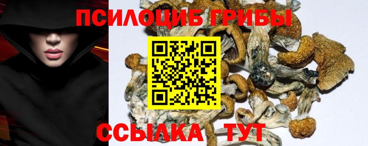 Черкесск  Псилоцибиновые грибы Magic Shrooms  Вход с VPN 